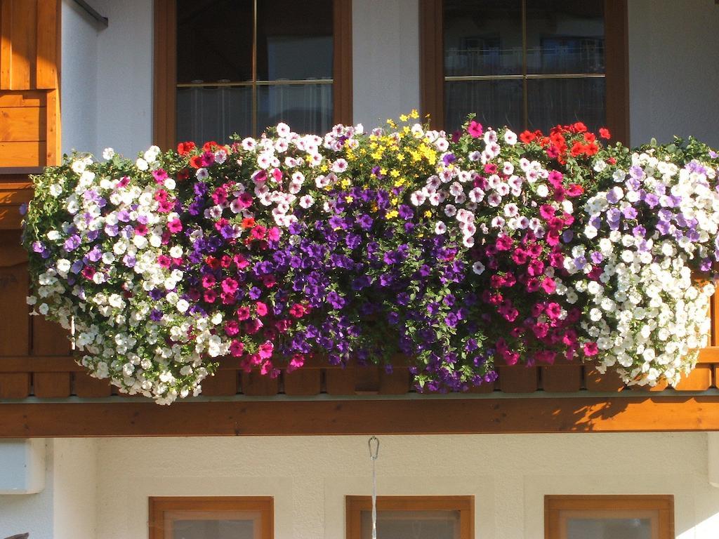 Apartamento Haus Sonnental Filzmoos Exterior foto